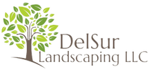 DelSur Landscaping LLC